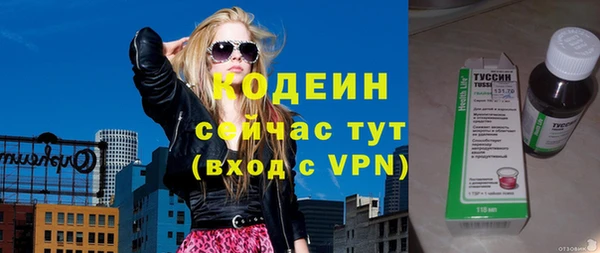молекула духа Богданович