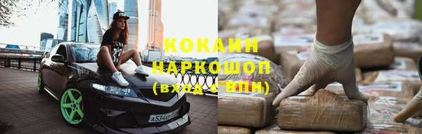 молекула духа Богданович
