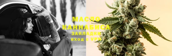 молекула духа Богданович