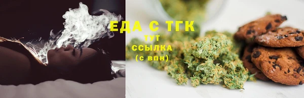молекула духа Богданович