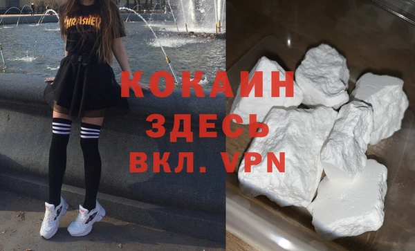 молекула духа Богданович
