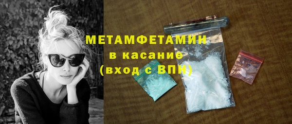 молекула духа Богданович