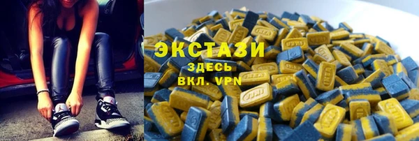 молекула духа Богданович