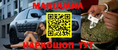 прущие грибы Будённовск