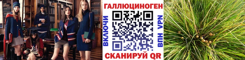 Псилоцибиновые грибы ЛСД Бузулук