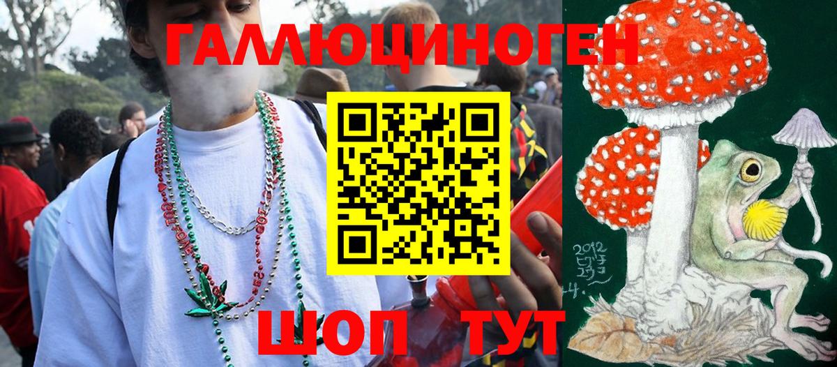 Псилоцибиновые грибы MAGIC MUSHROOMS  Бузулук  Галлюциногенные грибы GOLDEN TEACHER 
