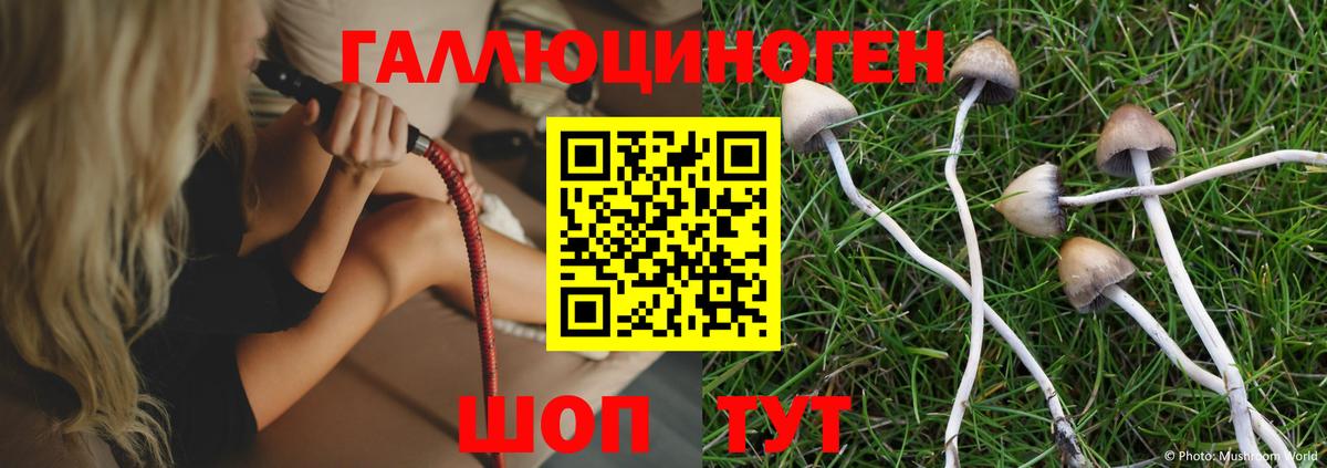 Бузулук  Галлюциногенные грибы Cubensis  Вход с VPN 